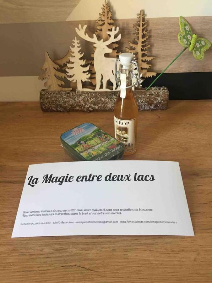 La Magie Entre Deux Lacs Villa Gérardmer Dış mekan fotoğraf